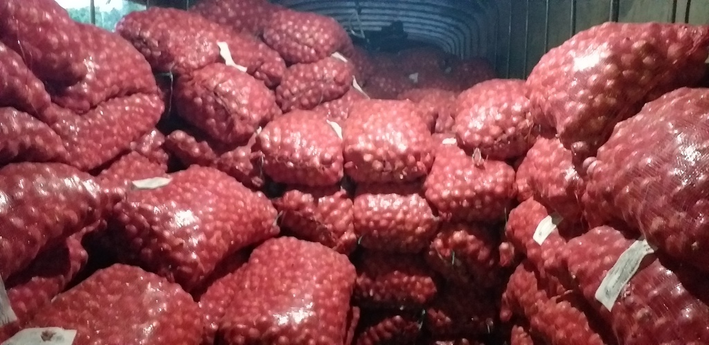 Cebolla roja peruana *50kg