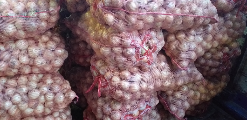 Cebolla blanca *50kg
