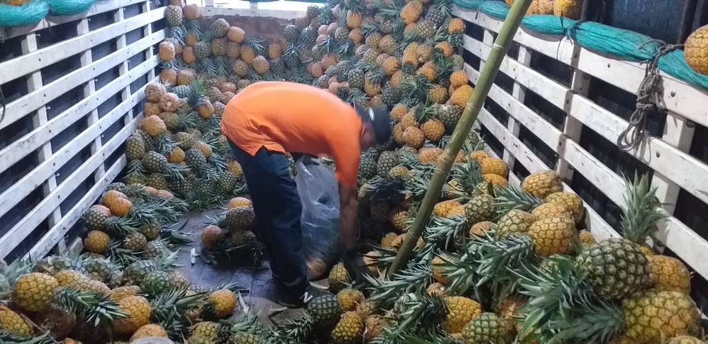 Piña oromiel
