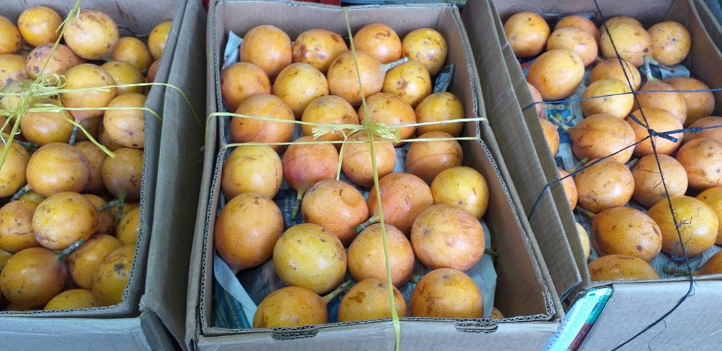 Granadilla extra