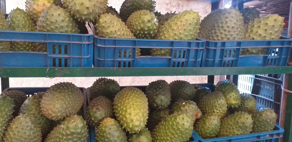 Guanabana