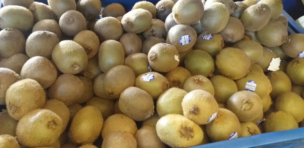 Kiwi