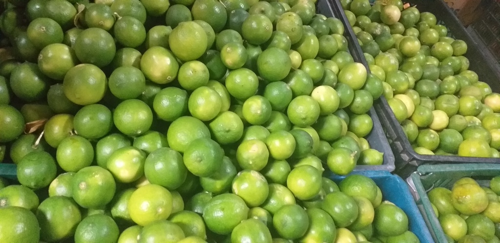 Limon tahiti