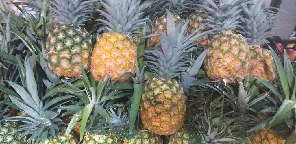 Piña oromiel