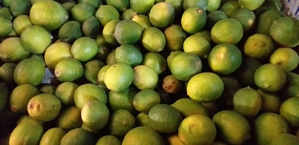 Limon mandarino