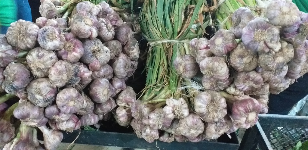 Ajo criollo *2kg