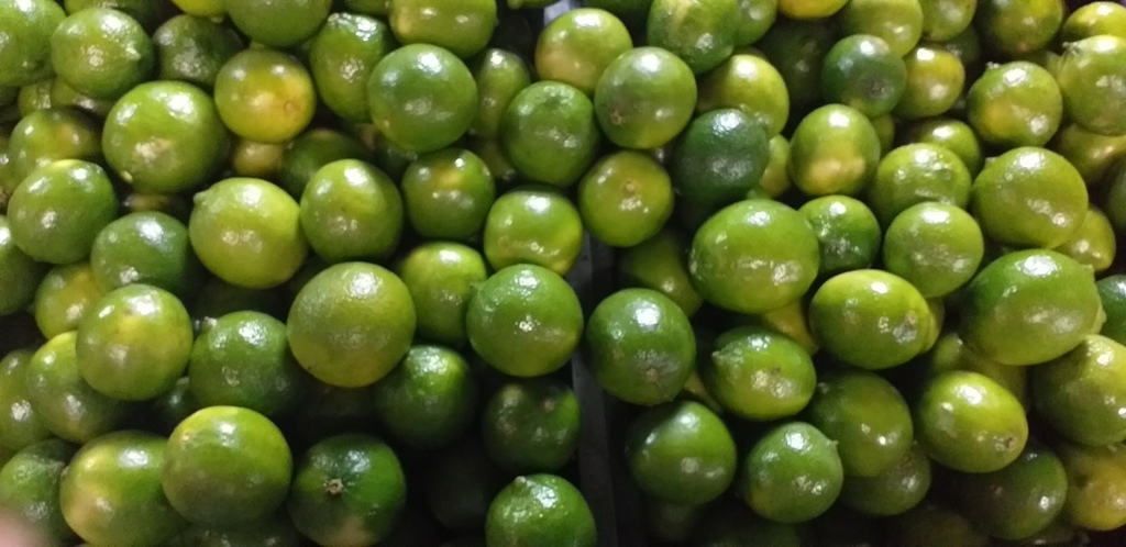 Limon tahiti