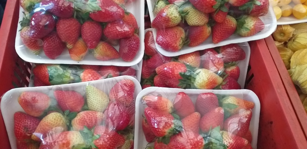 Fresa selecta en bandeja