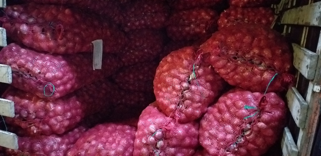 Cebolla roja peruana *50kg
