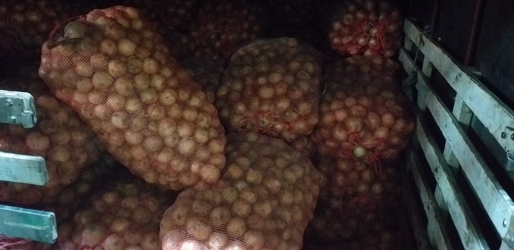 Cebolla blanca *48kg