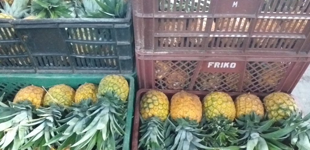 Piña oromiel