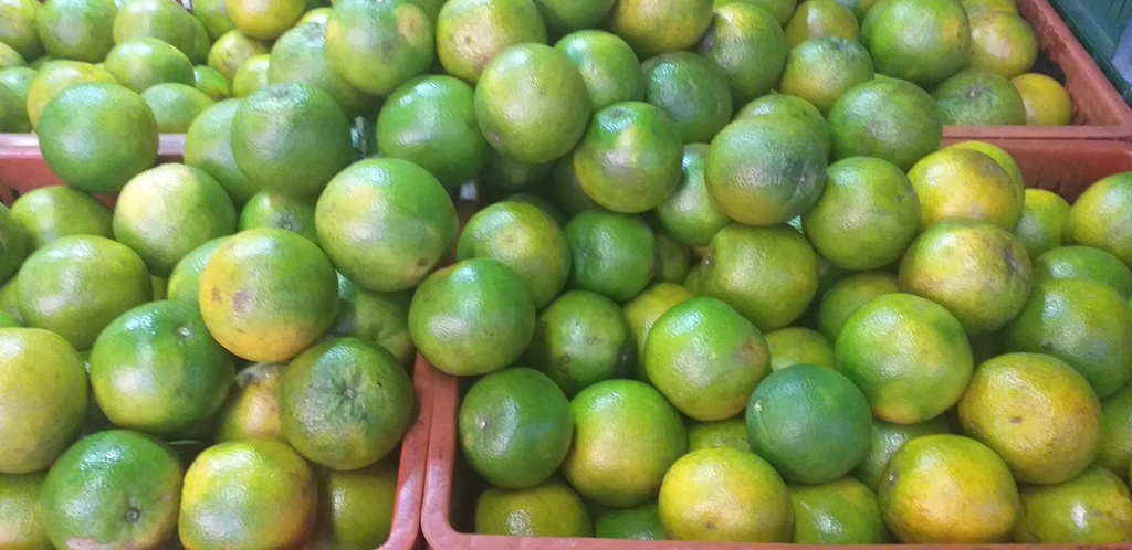 Naranja valencia