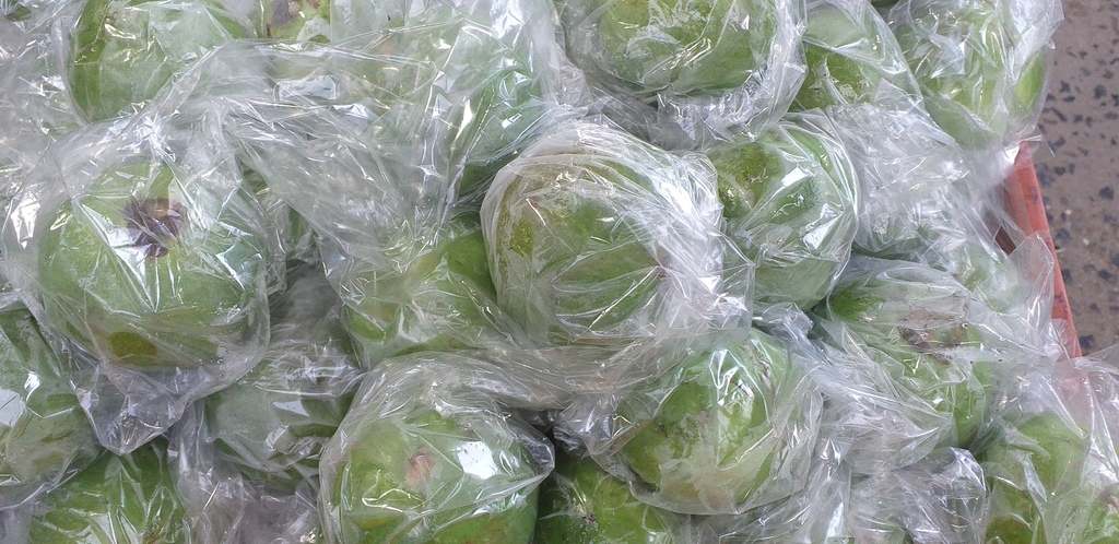 Guayaba manzana