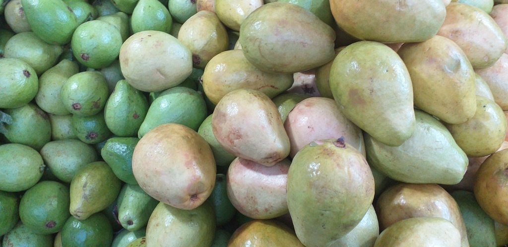 Guayaba pera