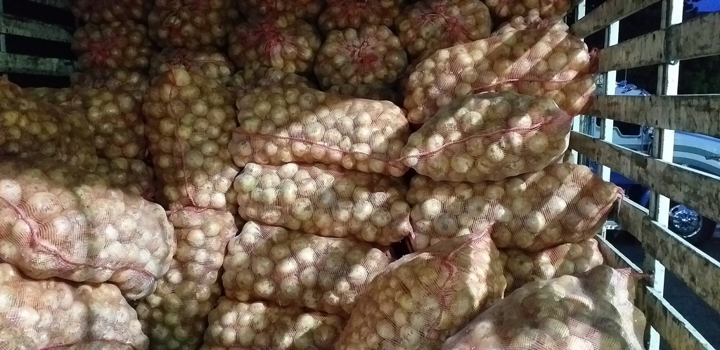 Cebolla blanca *48kg