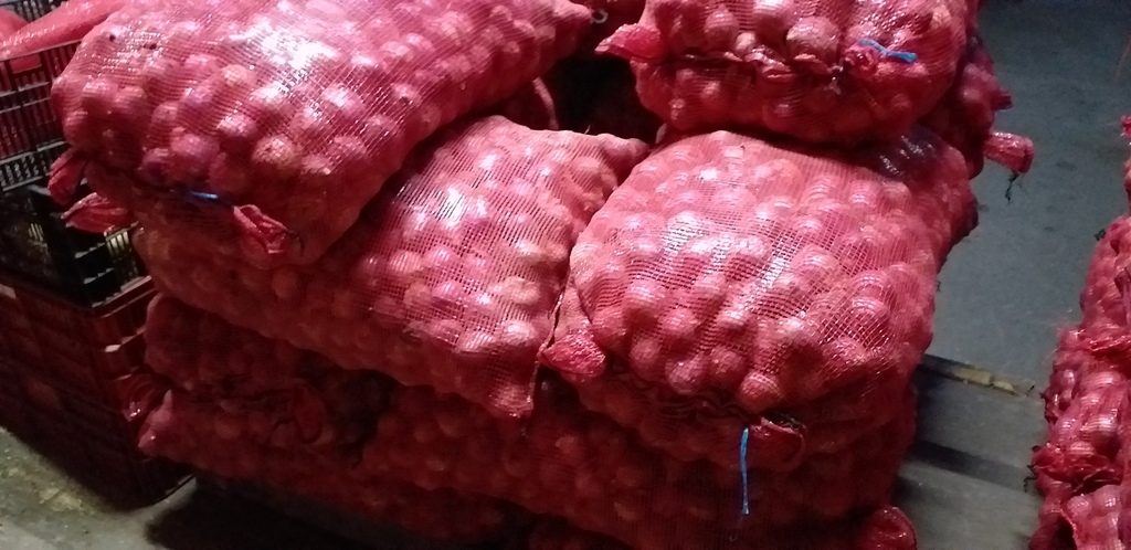 Cebolla roja delgada *48kg