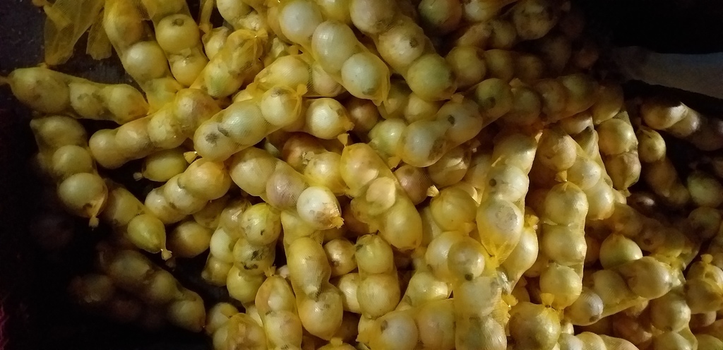 Cebolla en malla