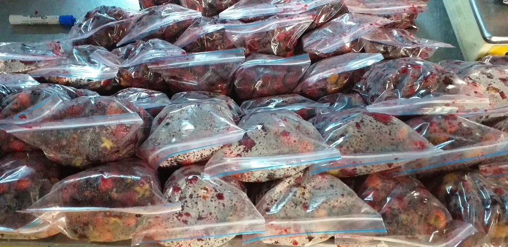 Moras del oriente