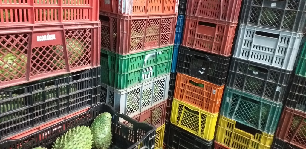 Guanabana