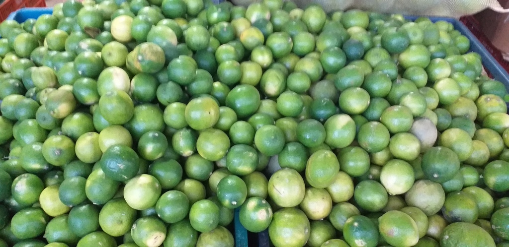 Limon tahiti