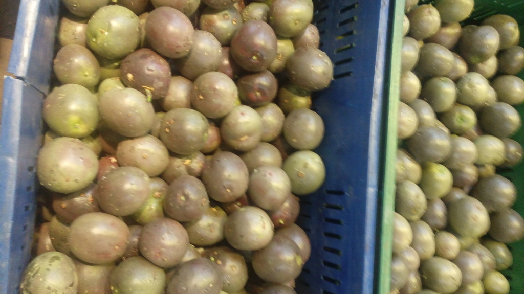 Gulupa