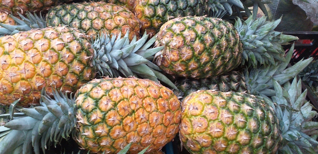 Piña oromiel
