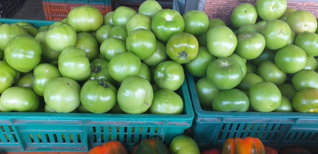 Tomate riñon