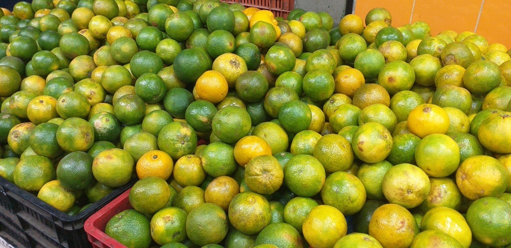Naranja valencia