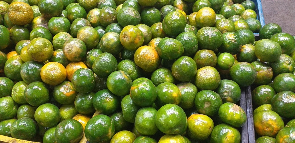 Mandarina oneca