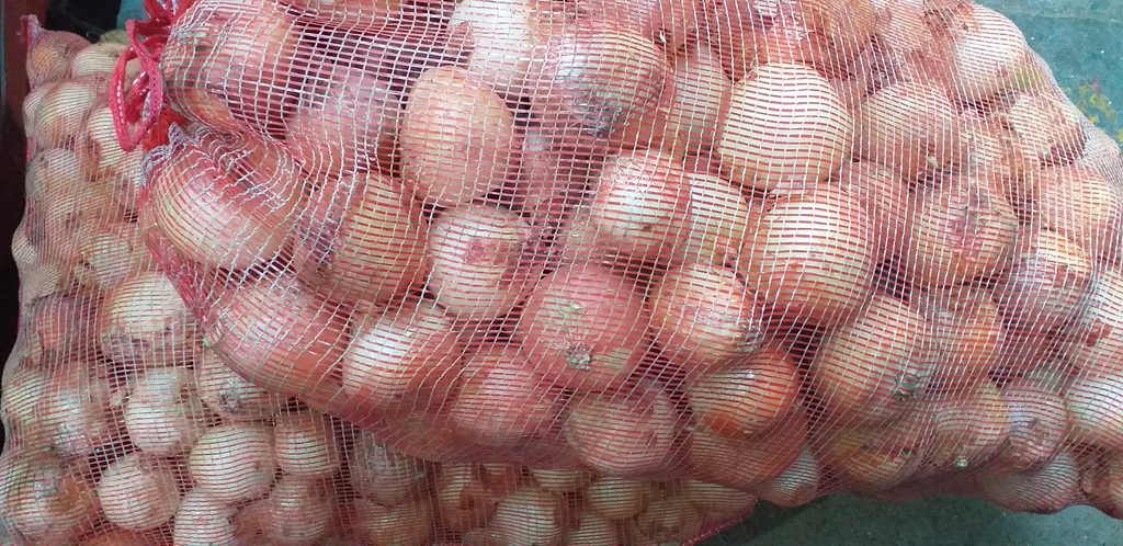 Cebolla blanca * 50kg
