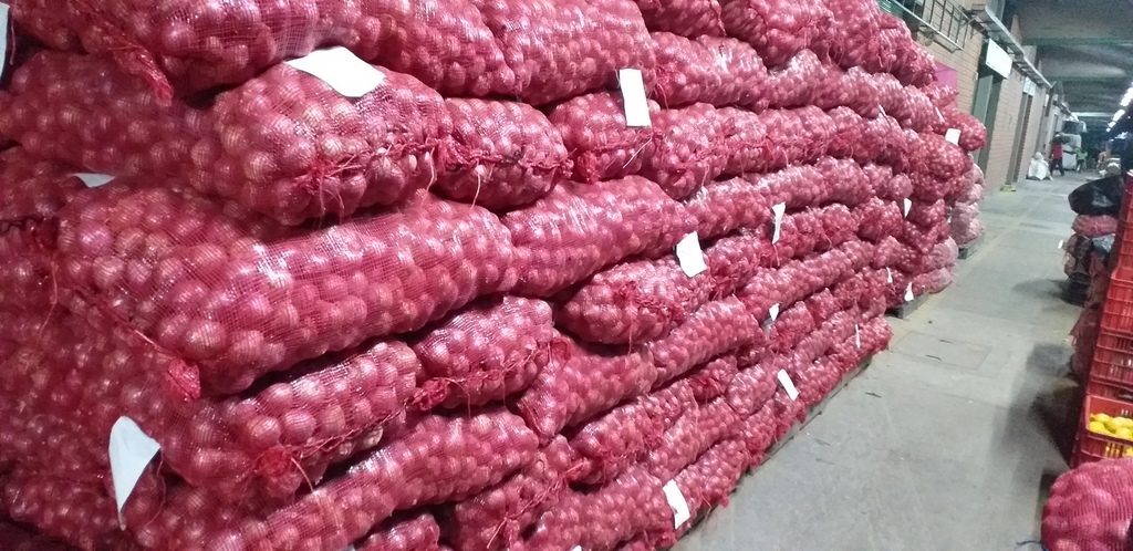 Cebolla roja peruana *48kg
