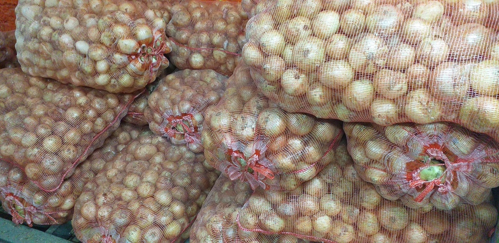 Cebolla blanca *48kg