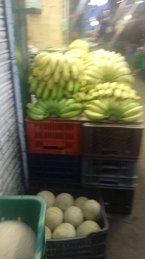 Banano criollo