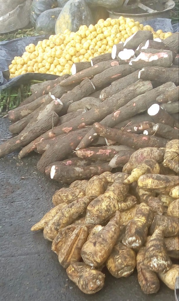Yuca