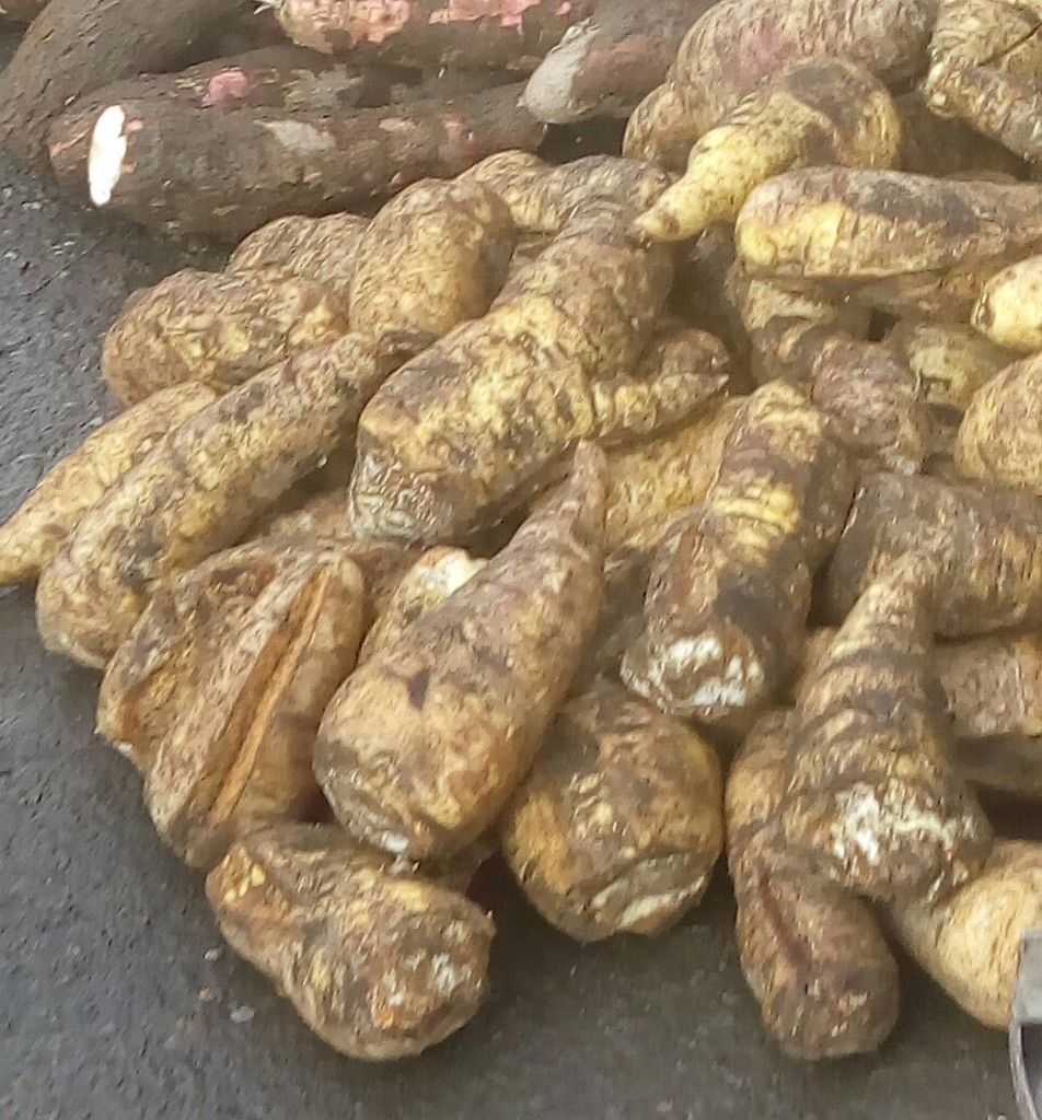 Arracacha