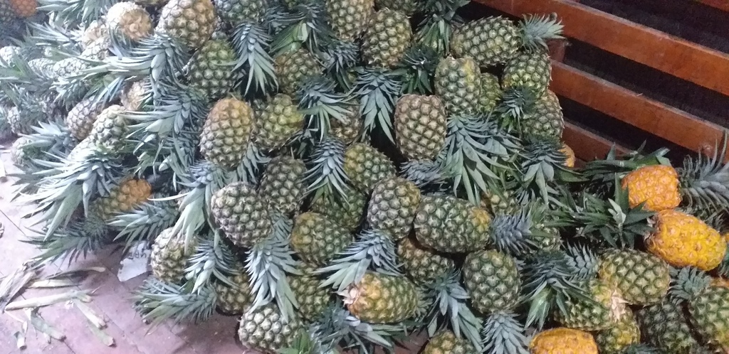 Piña oromiel