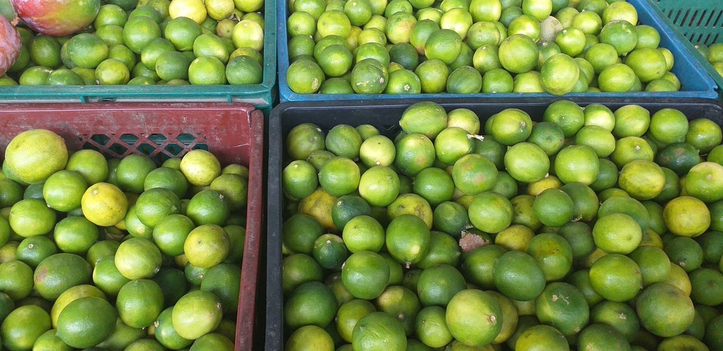 Limon mandarino