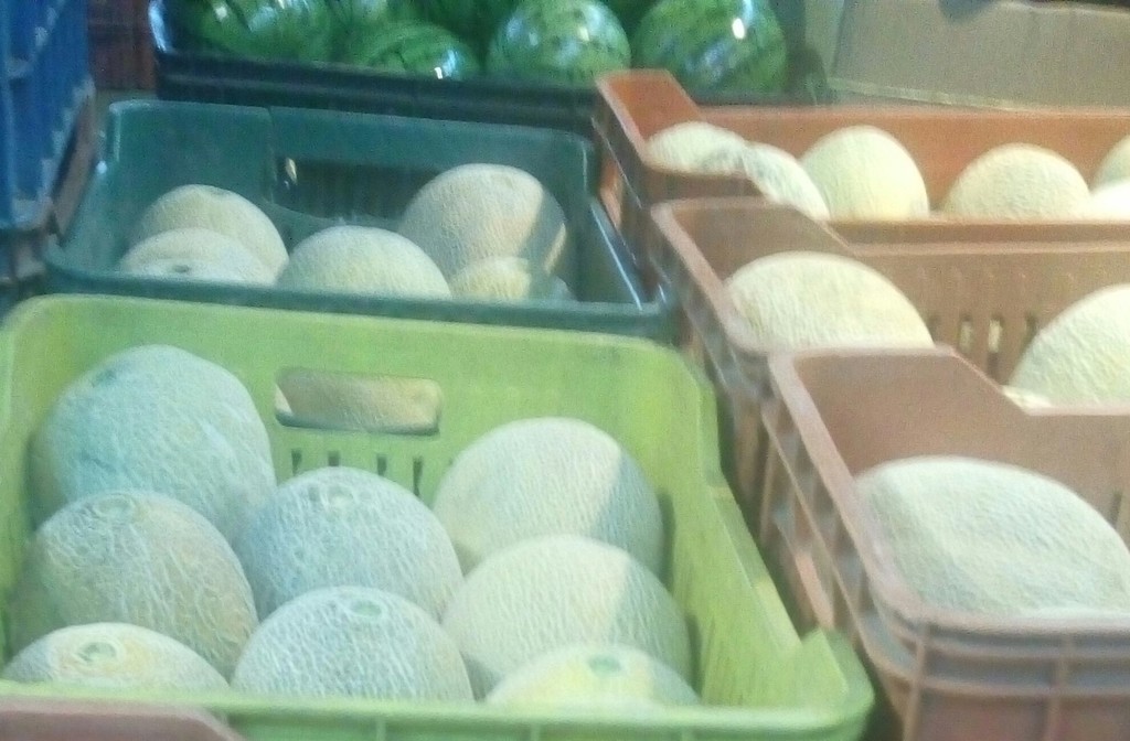Melon