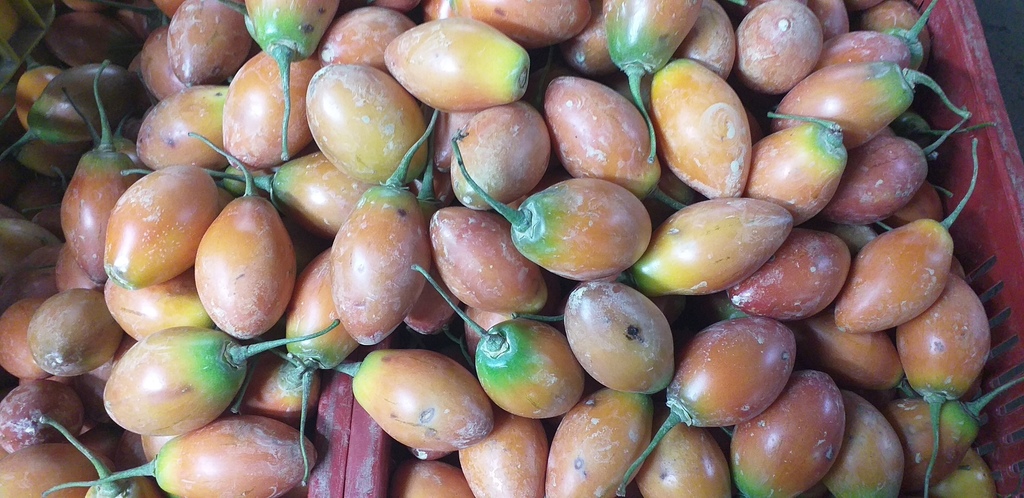 Tomate de arbol