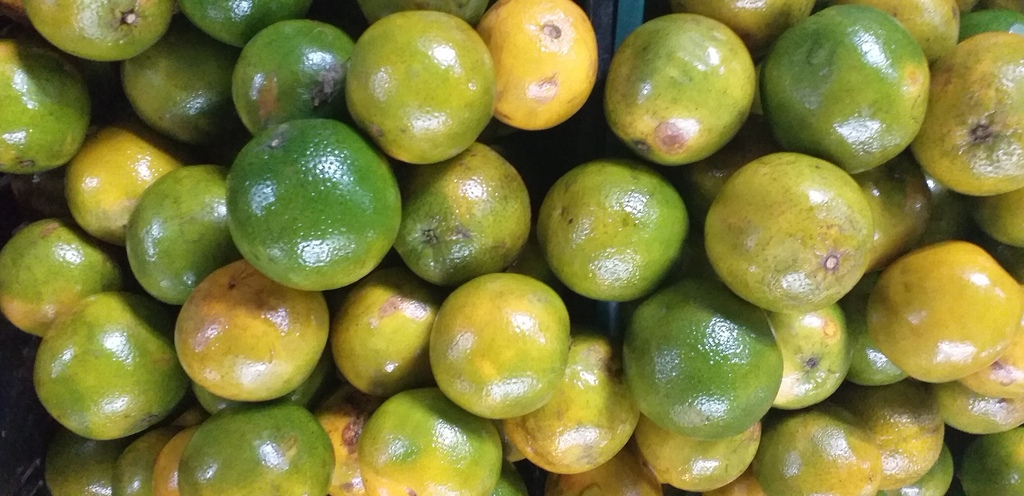 Naranja valencia