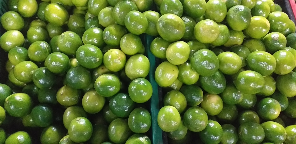 Limon tahiti