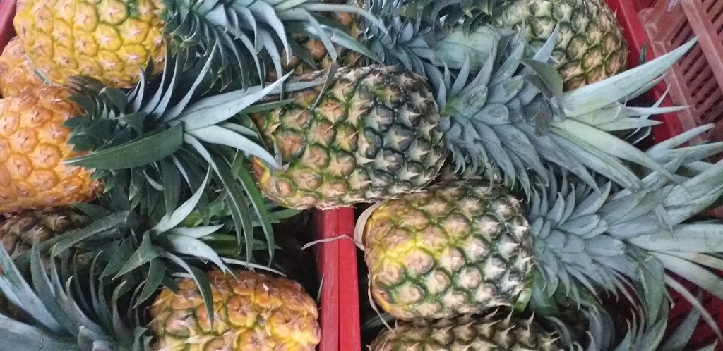 Piña oromiel
