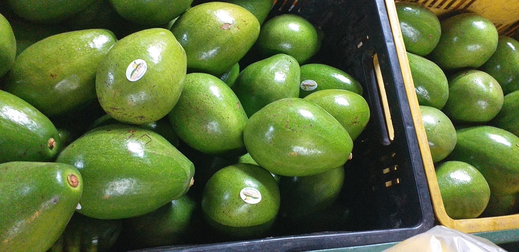 Aguacate papelillo