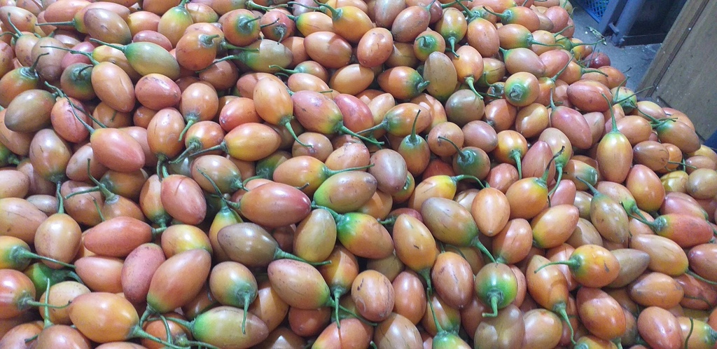 Tomate de arbol