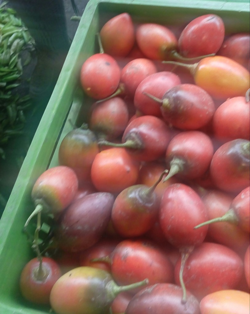 Tomate de arbol
