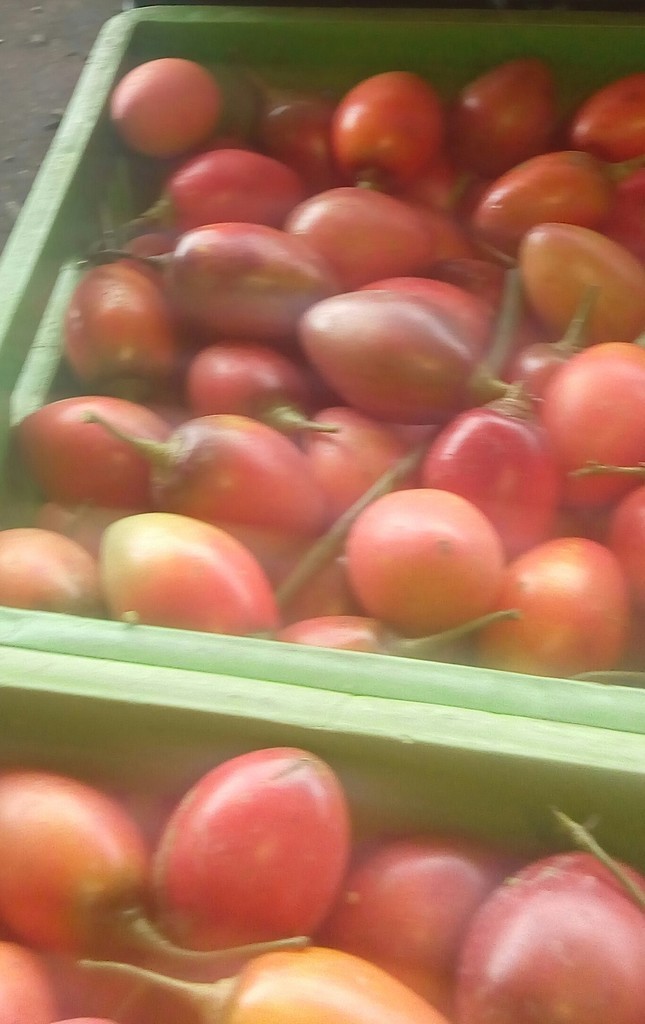 Tomate de arbol