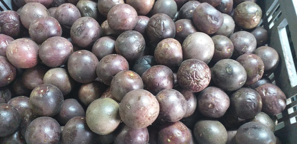 Gulupa