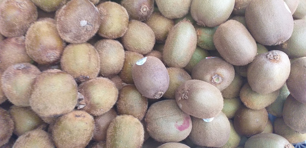 Kiwi
