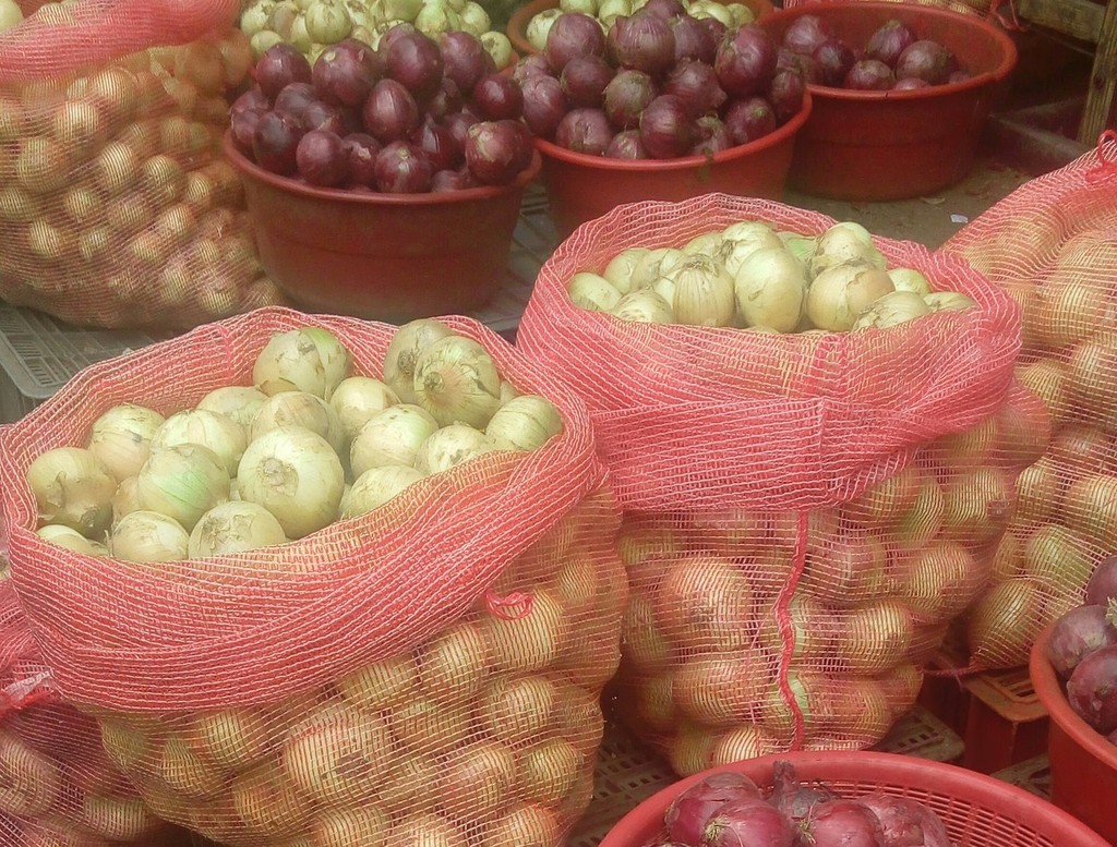 Cebolla cabezona blanca