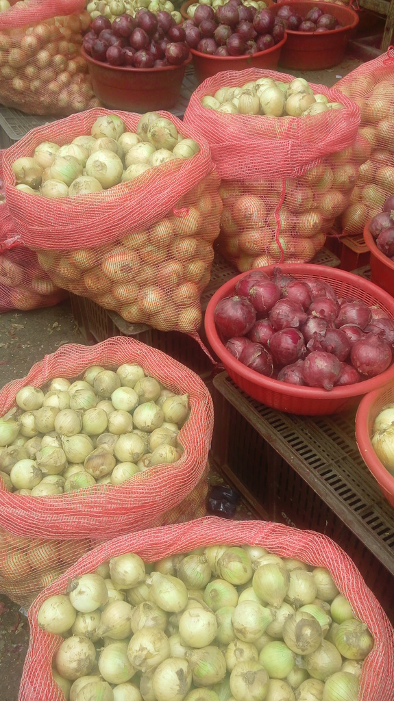 Cebolla cabezona